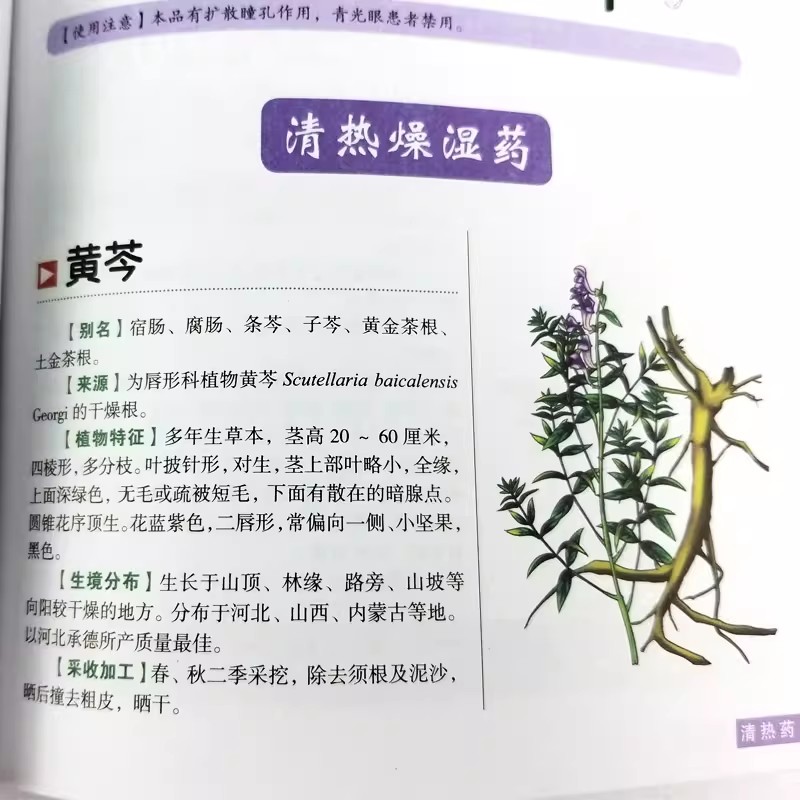 The Ancient Herbarium Holistic - مراجعة Herbal Holistic Wellness وسعره